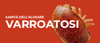 Banner varroatosi